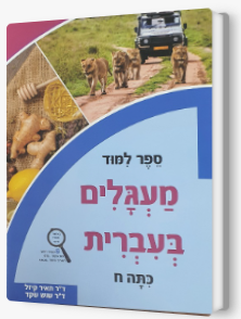 מעגלים כתה ח'